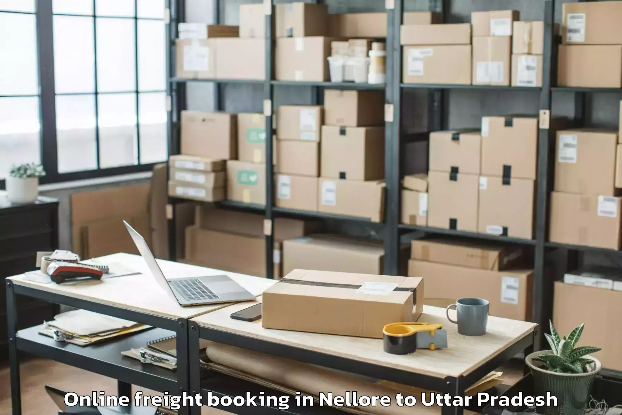 Professional Nellore to Lucknow Airport Lko Online Freight Booking